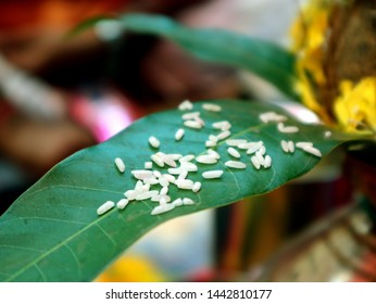 Indian Wedding Candy Photography Images Stock Photos Vectors Shutterstock