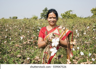 Indian Woman In A Cotton Field, Maharashtra, India.