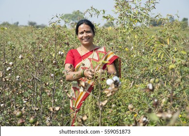 Indian Woman In A Cotton Field, Maharashtra, India.