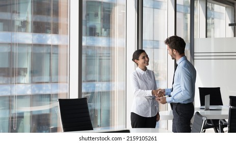 Indian woman shake hand company boss hr manager after successful job interview, client and manager handshake make deal feel satisfied. Multiracial workmates meet in office talk express respect concept
