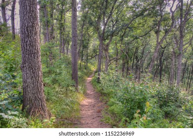 Indiana Dunes National Lakeshore On Lake Michigan