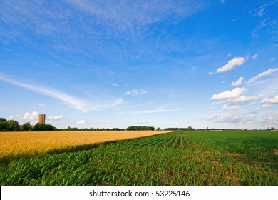 Indiana Farm