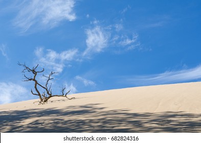 Indiana Sand Dunes