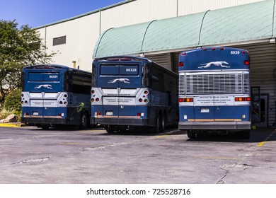 Indianapolis - Circa September 2017: Greyhound Buses. Greyhound Offers Inter-City Service To Over 2,700 Destinations II