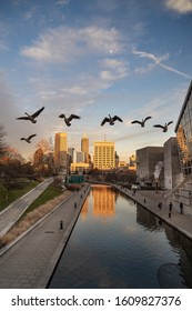 Indianapolis, IN, USA, January 6, 2020, City Skyline And The Popular Canal Walk In Late Afternoon As A Flock Of  Geese Fly Overhead.   The Central Canal Was Dug In The Early 1800s In An Effort To Faci