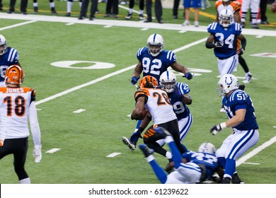 INDIANAPOLIS, IN - SEPT 2: Intercept During Football Game Between Indianapolis Colts And Cincinnati Bengals On September 2, 2010 In Indianapolis, IN