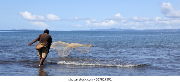 Indigenous Fijian Fisherman Throwing Fishing Net In Vanua Levu, Fiji. Real People. Copy Space. Panoramic