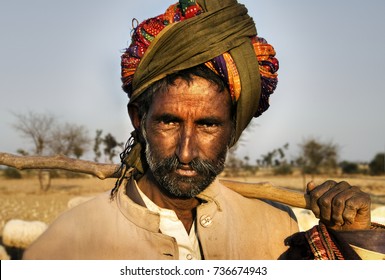 Indigenous Indian Man Herding The Sheep.