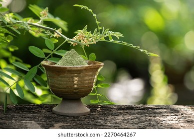 Indigo tree and powder on nature background. - Shutterstock ID 2270464267