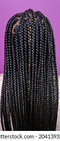 Individual Box Braid Extensions Back View, Black With Blonde Woven Braided Highlights, Purple Background