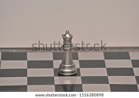 individual useful gray and brown chess pieces