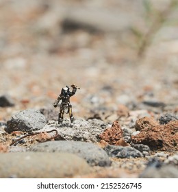 Indonesia - December 15, 2020 : Predator character. Toys photography concept. Land ground view. Background is blurred.