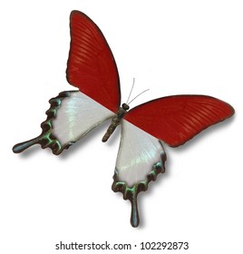 6,290 Indonesian butterfly Images, Stock Photos & Vectors | Shutterstock