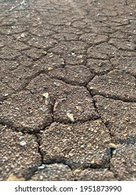 Indonesia, Riau Province, Inhu District, Batang Cenaku Sub-district, Anak Talang Village, Dry Land That Is Barren Due To Hot Weather, Causing Drought