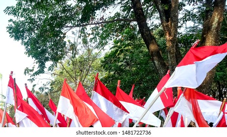 Mengepalkan Tangan Dmenggenggam Bendera Merah Putih Foto De Stock