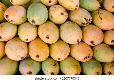 Indonesian Local Mango, Favorite Fresh Fruit