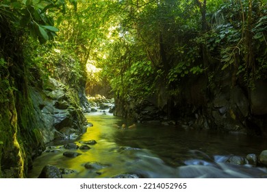 Indonesian natural scenery with a beautiful waterfall in the middle of a tropical forest