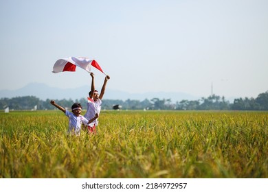 Indonesian school students wearing uniform are raising their hands while holding red white flag in the midst of the rice field. Celebrating independence day.