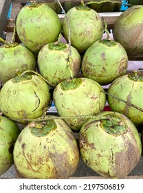 Indonesian Young Coconut, Good To Drink To Quench Thirst