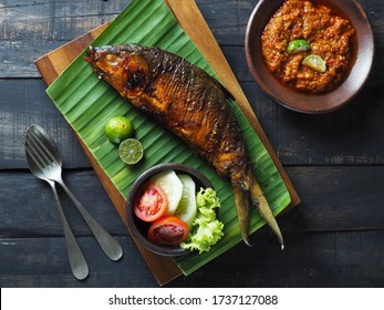 Ikan Patin Images Stock Photos Vectors Shutterstock