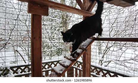 fire escape catio