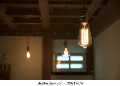 Indoor Ceiling Lights