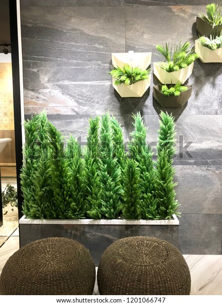 Indoor Garden Decoration Using Artificial Tree Stock Photo Edit