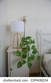 Desk In The Bedroom Stock Photos Nature Images Shutterstock