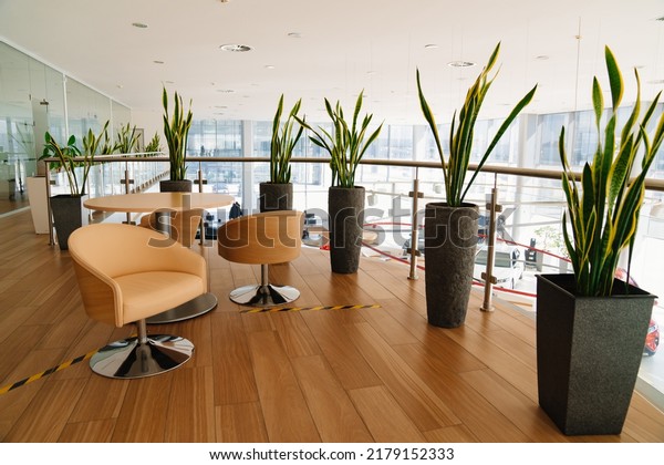 indoor plants in the interior of\
an office or car dealership. decor and design of premises.\
conciseness and simplicity. Russia. Rostov-on-Don\
26.03.2022