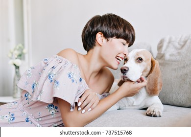 Indoor Portrait Of Excited Young Woman With Shiny Dark-brown Hair Scratches Pleased Beagle Dog With Smile. Smiling Stylish Girl Playing With Dog While It Lying On Sofa Beside Pillow.