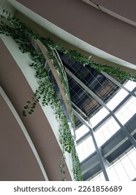 Indoor potrait in a library