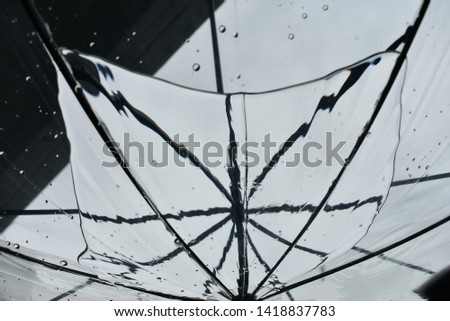 Similar – Image, Stock Photo Broken Silence Splinter