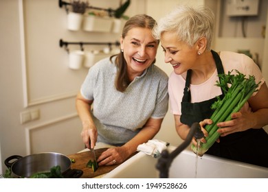 Indoor shot of charming retired sisters cooking lunch together at home waiting for guests. Cheerful mature woman in apron holding celery, cooking vegetable soup with her best friend, laughing - Powered by Shutterstock