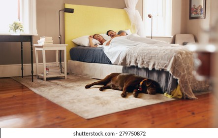 Indoor shot of dog lying on floor in bedroom. Young couple sleeping comfortably on bed.