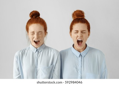 Indoor shot of furious young European women wearing identical hairstyles and formal wear, screaming with anger and rage, keeping their eyes closed. Human face expressions, emotions and feelings