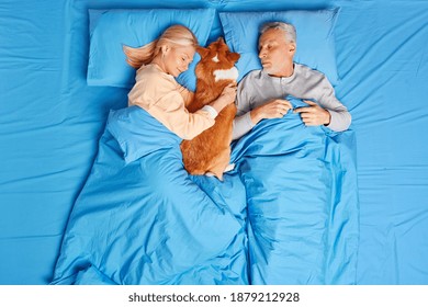Indoor shot of senior couple sleep peacefully at home in bed with favorite dog between have sweet dreams. Mature woman embraces pet while sleeping. Protecting peace of owners. Rest and friendship