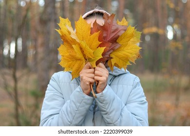 Indoor shot of unknown anonymous woman holding autumn leaf, covering her face with fan of colorful fall leaves, having fun in open air in beautiful park or forest.