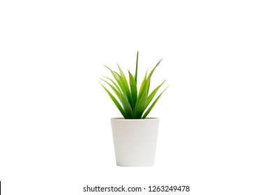 Desk Plant Images Stock Photos Vectors Shutterstock