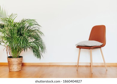 Indoors flat wall mockup with green potted houseplant home decoration and chair with clothes in minimalist style. Home gardening concept. Interior in vintage retro nostalgic style with wooden floor - Shutterstock ID 1860404827