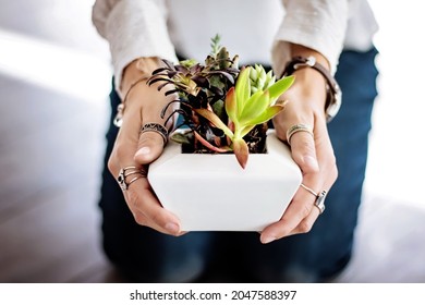 INDORE 25 September 2021 A Business Women Holding Plant Pot 