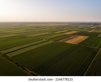 Industrial Agriculture Lanscape Aerial Shot Of Wheat Soybean Corn Sunflower Canola Crop Farm Fields 