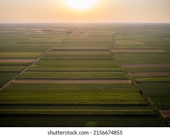 Industrial Agriculture Lanscape Aerial Shot Of Wheat Soybean Corn Sunflower Canola Crop Farm Fields 