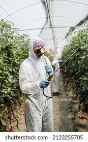 Industrial agriculture theme. Experienced workers in protective suites spraying toxic herbicides or insecticides on vegetables growing plantation. Natural hard light on sunny day. 