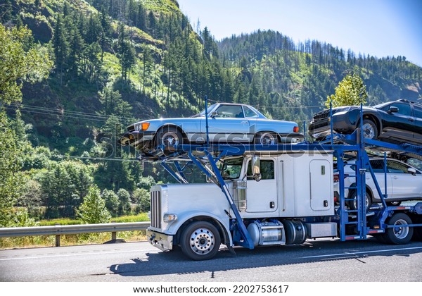 Industrial Big rig white classic car hauler semi\
truck tractor transporting cars on the hydraulic two level semi\
trailer driving on the one way highway road in green Columbia Gorge\
Recreation area