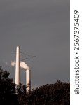 Industrial chimneys with steam plume against grey sky, crowned by flying birds. Silhouetted autumn trees frame white power plant towers in minimalist composition