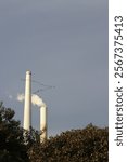 Industrial chimneys with steam plume against grey sky, crowned by flying birds. Silhouetted autumn trees frame white power plant towers in minimalist composition