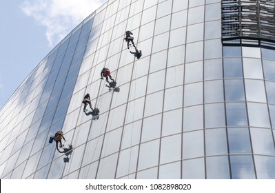 Industrial climbers wash the windows of the business center
