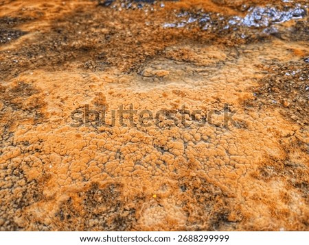 Industrial corroded bubbles surface with orange and brown texture