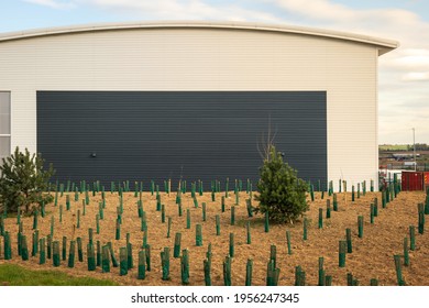 Industrial Distribution Warehouse Construction Frame In England Uk