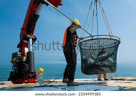 Industrial fishermen catch fish in the open sea. Crane lifting net with fish. Fishermen raise their catch with fish.